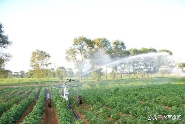 农业节水灌溉的常见灌溉方法